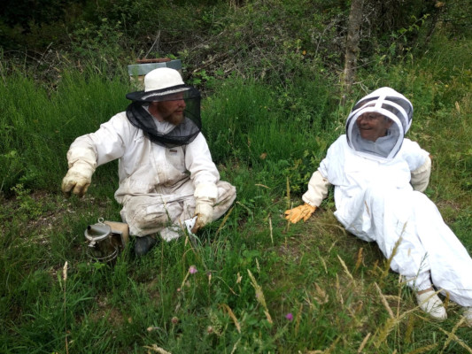 présentation thomas de gaudemar apiculteur apiculture miel miellerie fleur chataigne chataigner chataigneraie ronce Ardèche abeille reine élevage ruche rucher cadre propolis gelée royale cire pollen